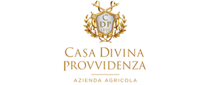 Casa-Divina-Provvidenza